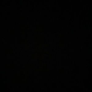 Meet your Posher, Lorelei